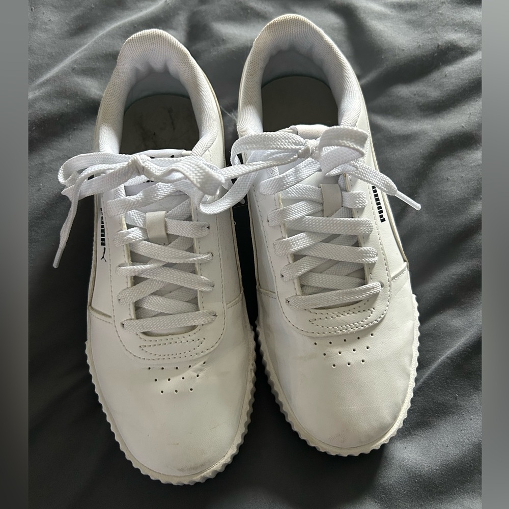 White Puma